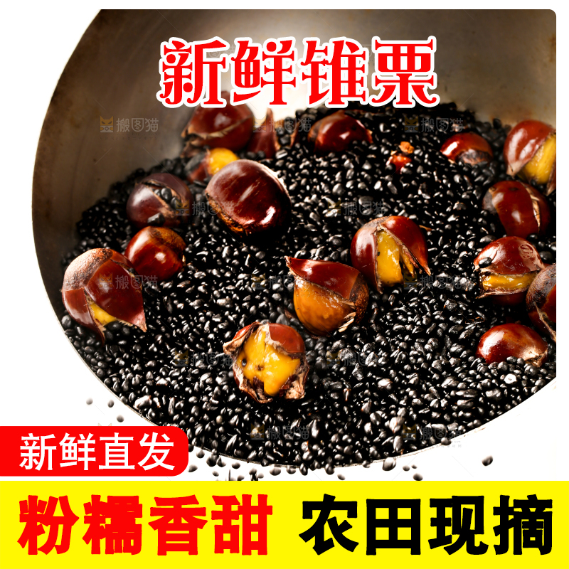 深底上的油锥栗