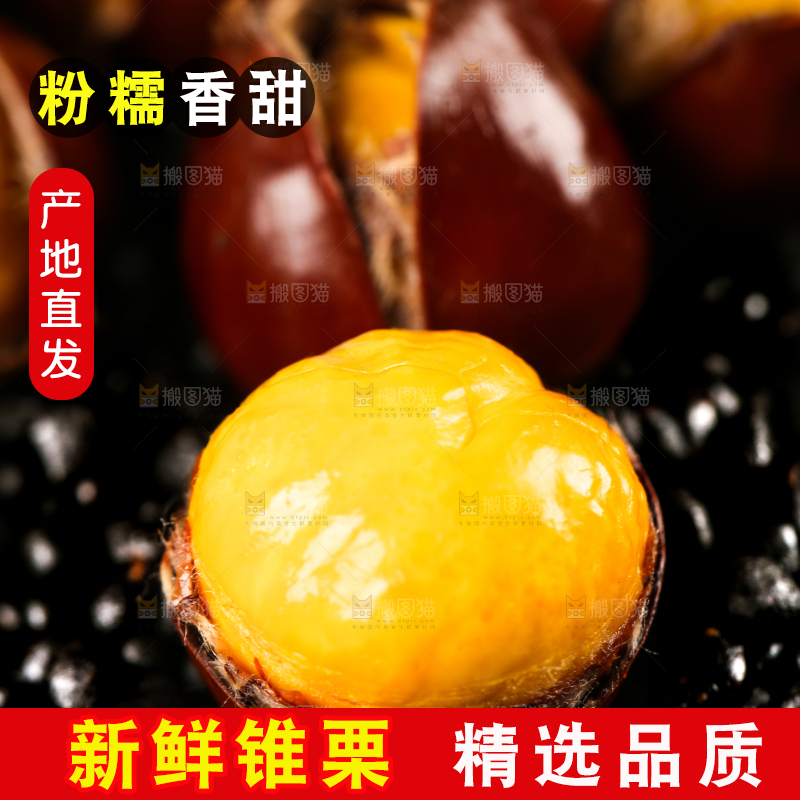 深底上的油锥栗