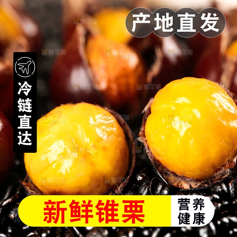 深底上的油锥栗
