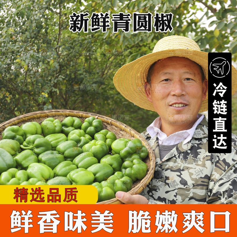 手里拿着新鲜青圆椒
