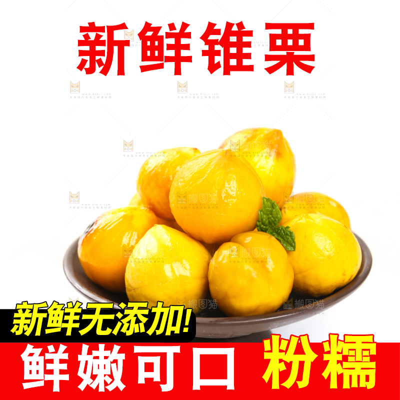 白底上的锥栗