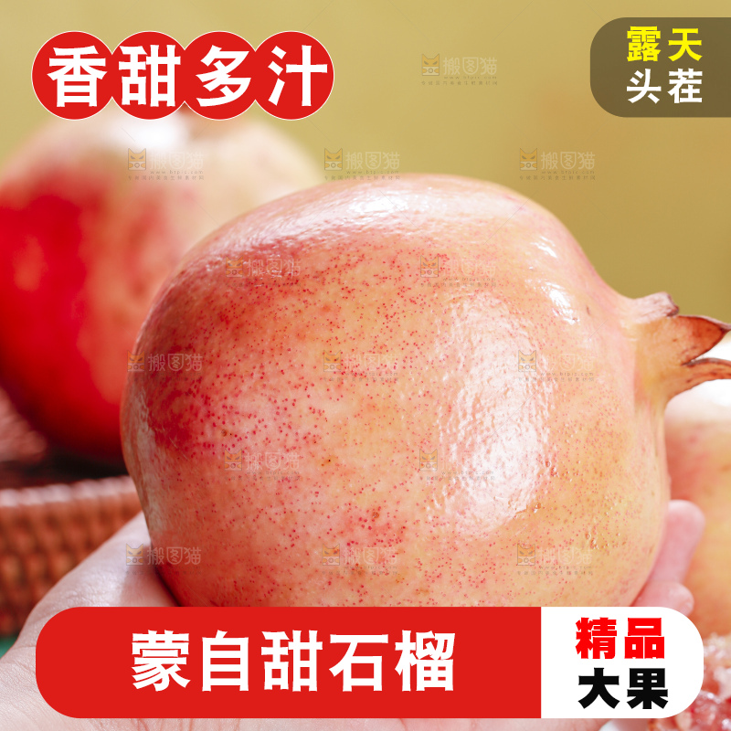 浅底上的蒙自石榴