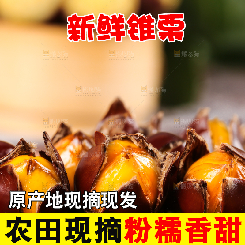 深底上的油锥栗