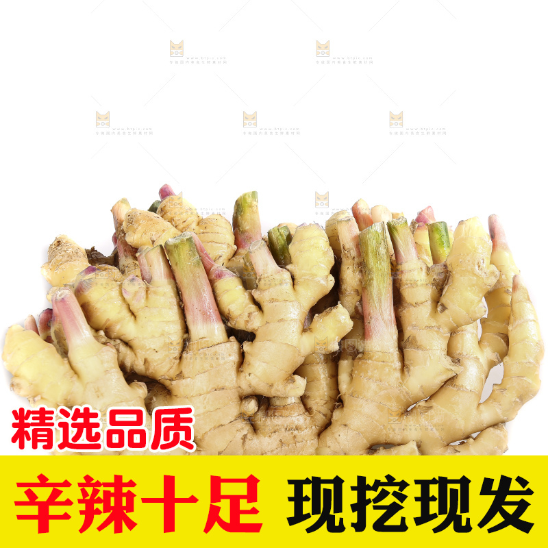 白底上的小黄姜