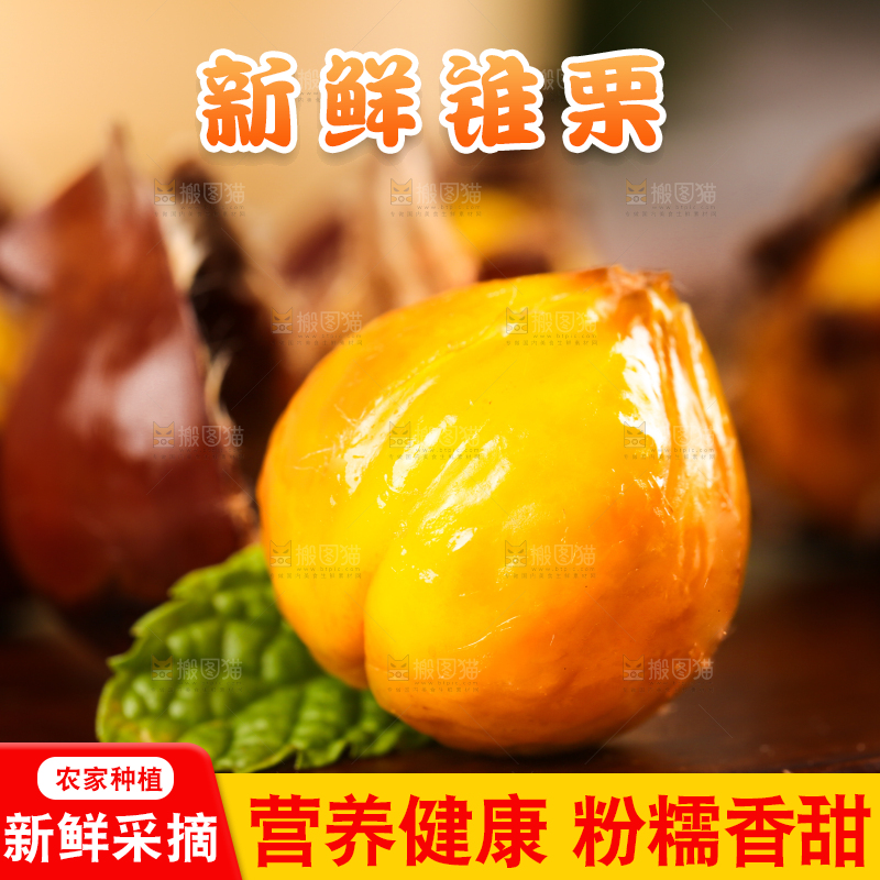 深底上的油锥栗