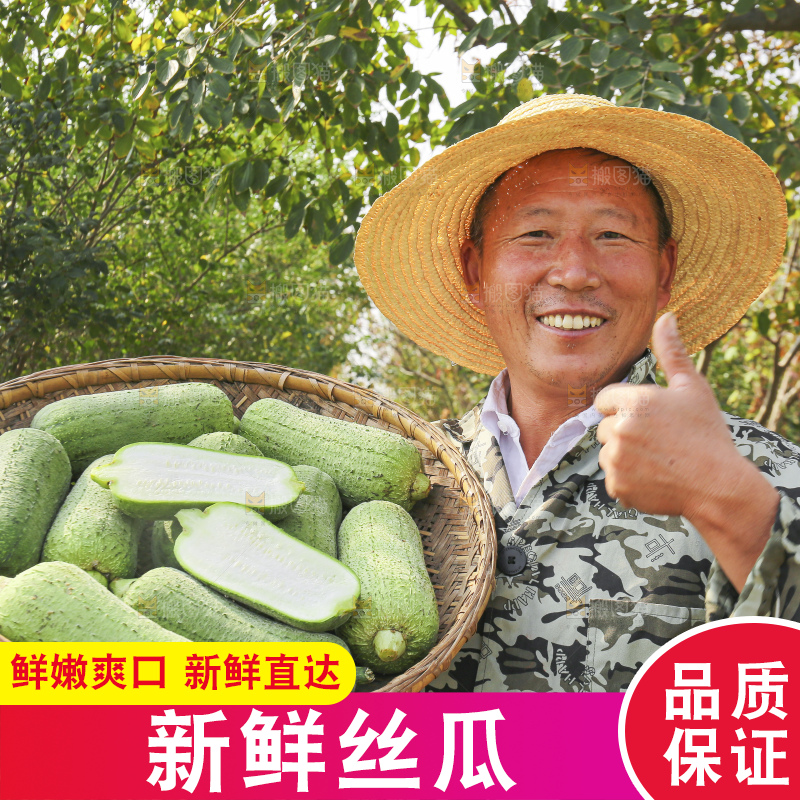 手里拿着新鲜丝瓜