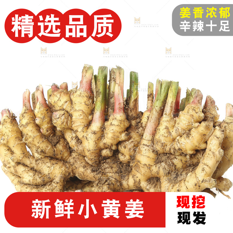 白底上的小黄姜