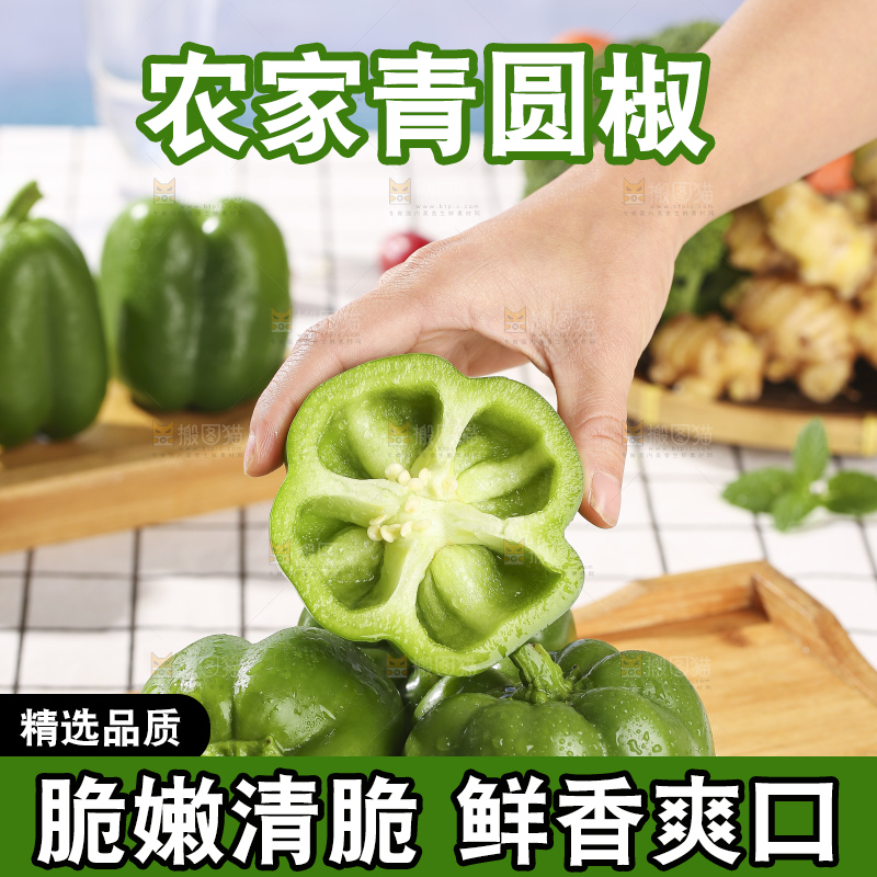 浅底上的青圆椒