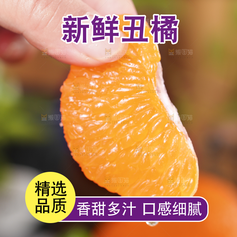 丑橘主图