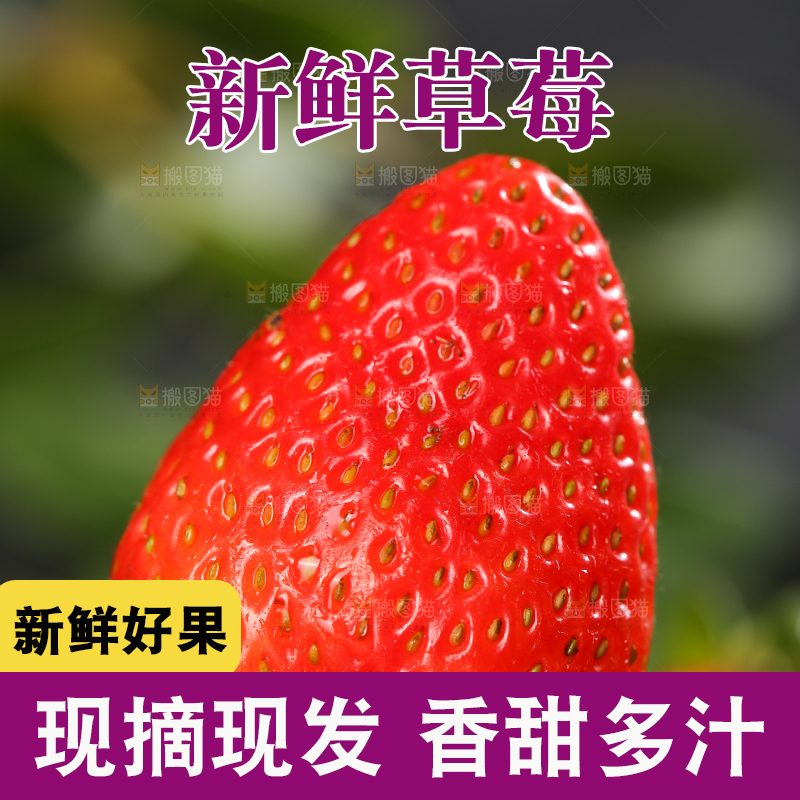 深底上的丹东草莓
