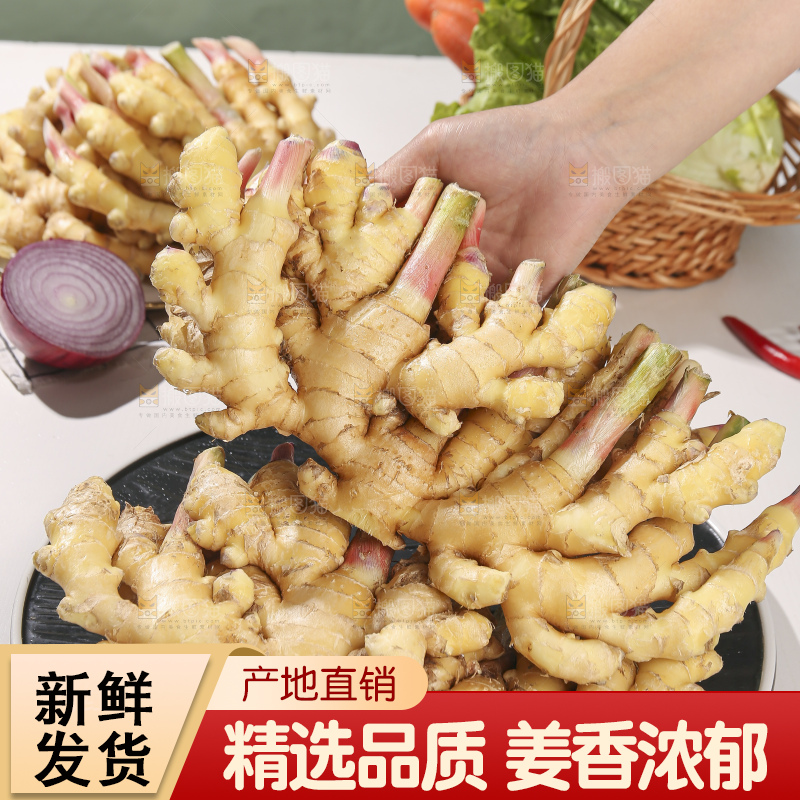 浅底上的小黄姜