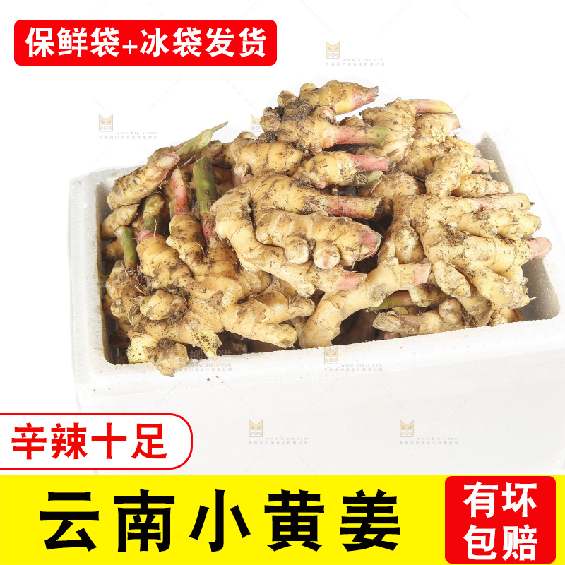 白底上的小黄姜
