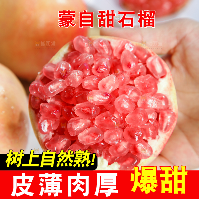浅底上的蒙自石榴
