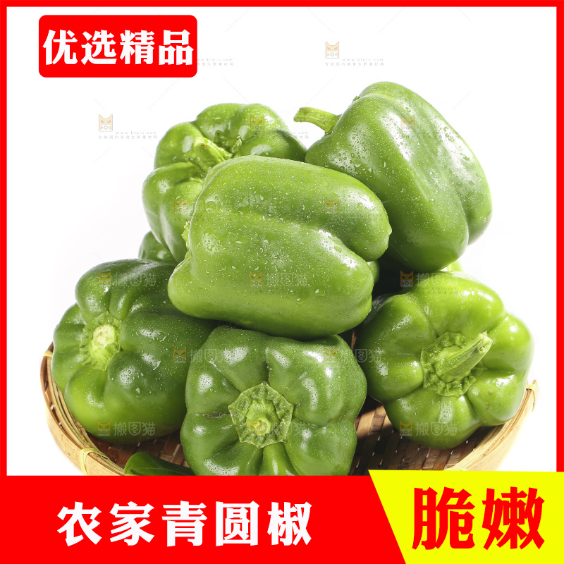 白底上的青圆椒