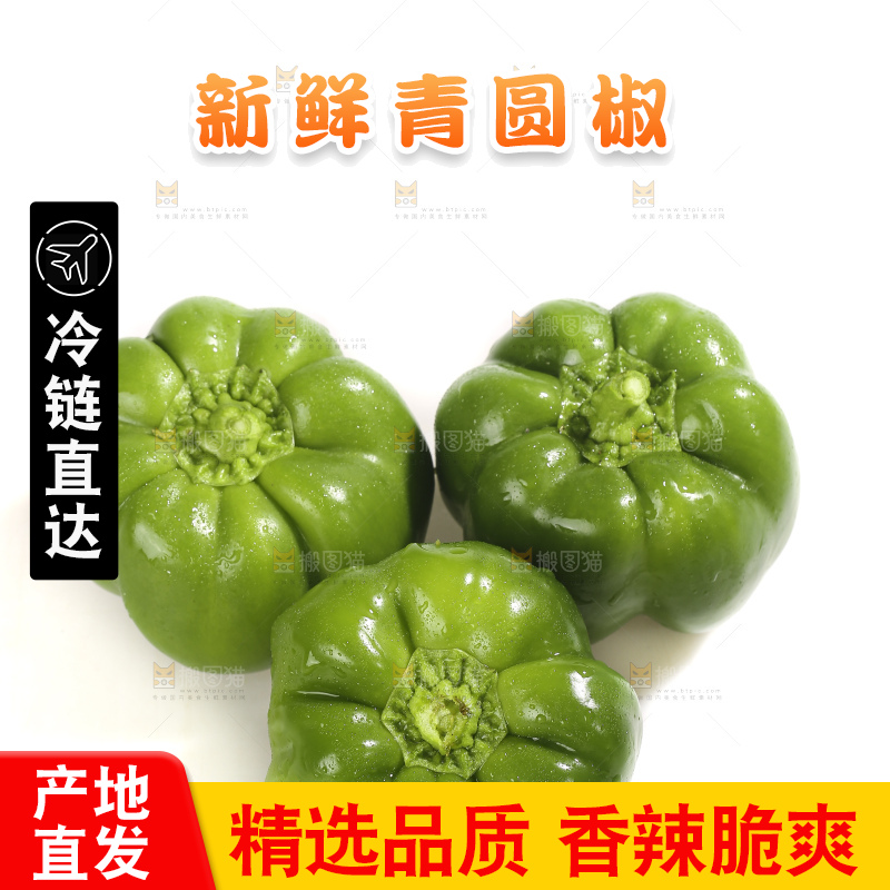 白底上的青圆椒