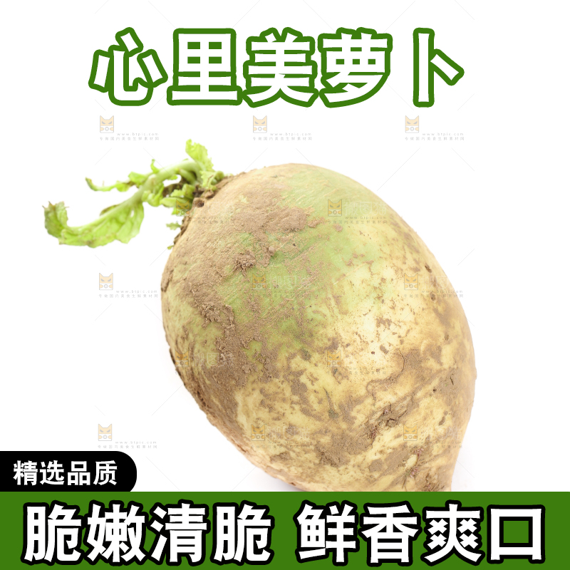 白底上的心里美萝卜