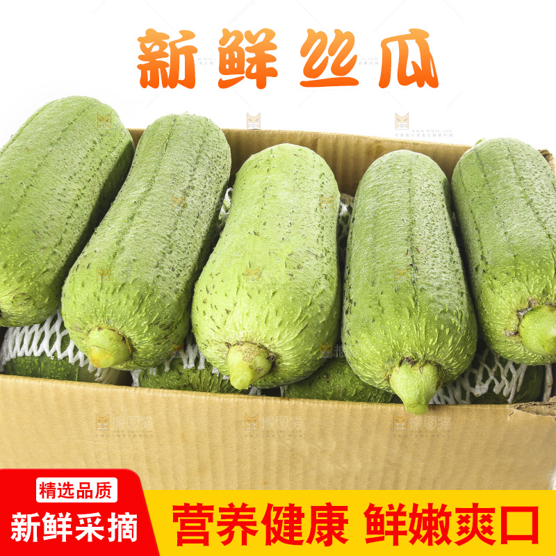 白底上的大丝瓜