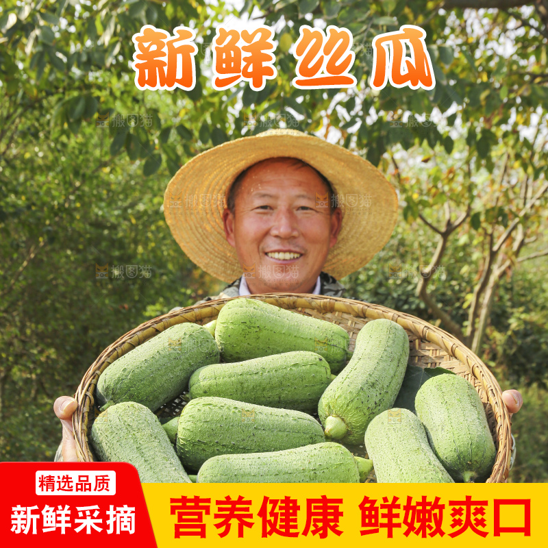 手里拿着新鲜丝瓜