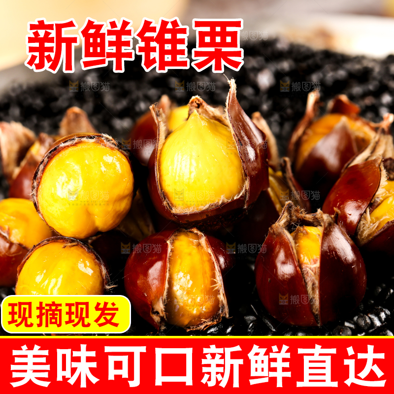 深底上的油锥栗
