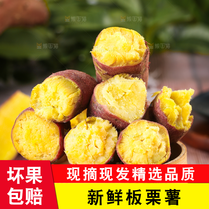 深底上的板栗红薯