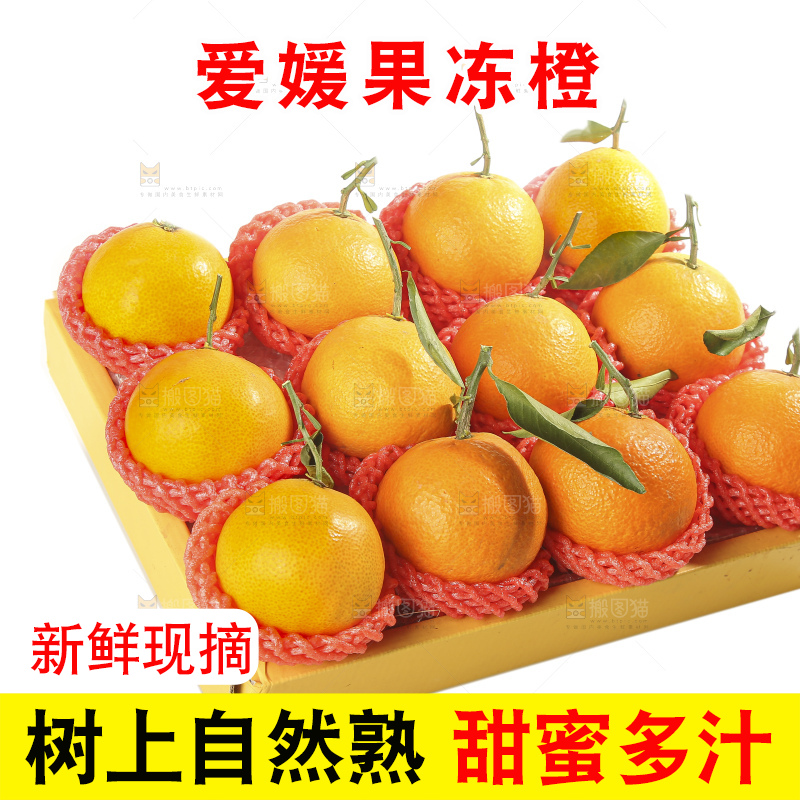白底上的爱媛果冻橙
