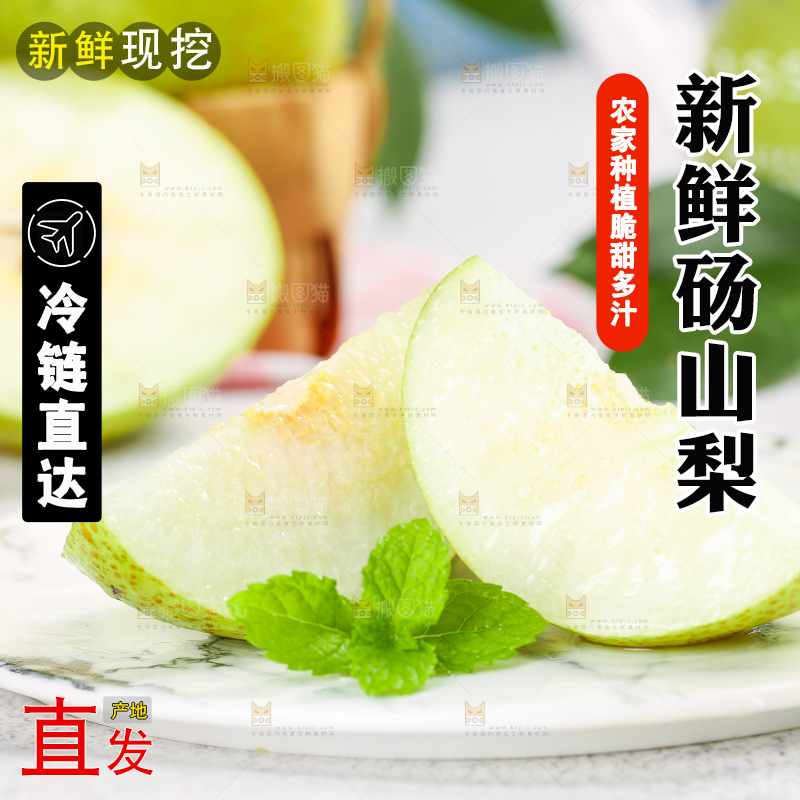 浅底上的砀山酥梨