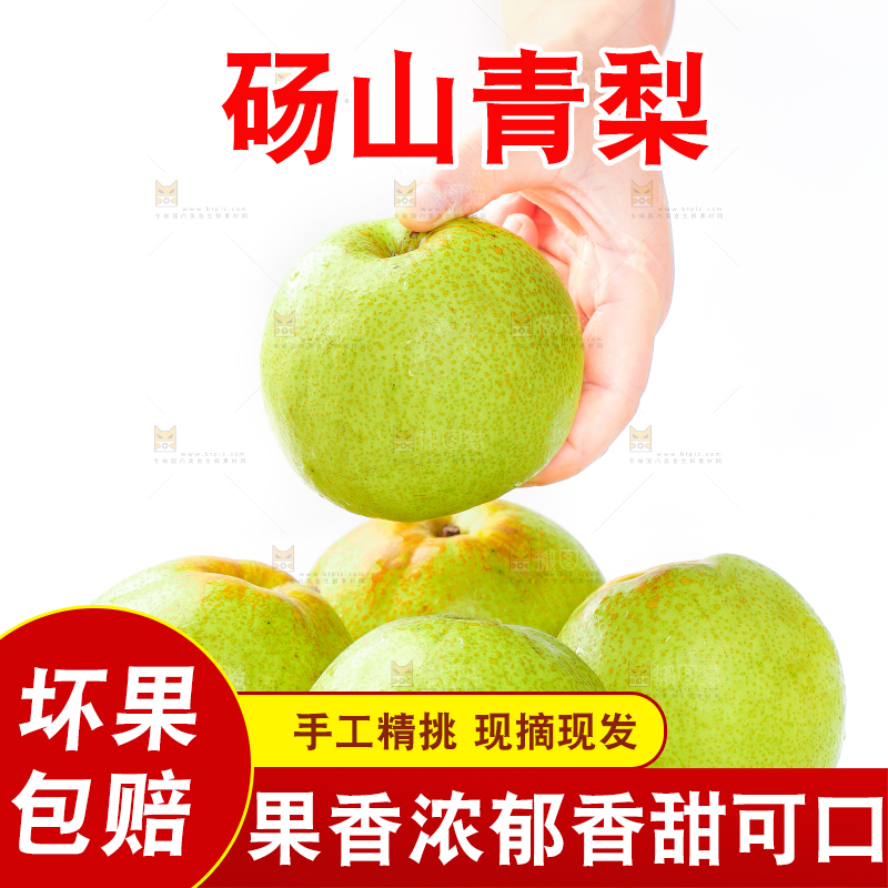 白底上的砀山梨