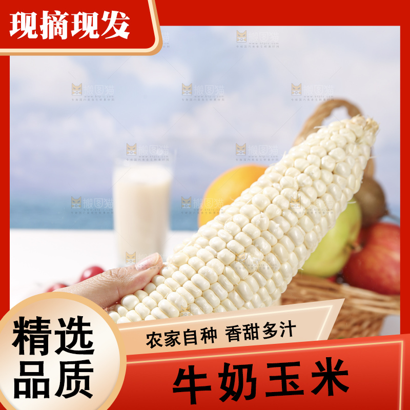 浅底上的牛奶玉米