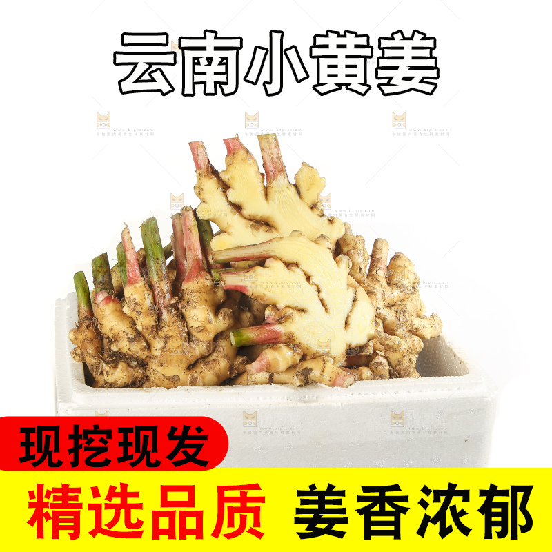 白底上的小黄姜