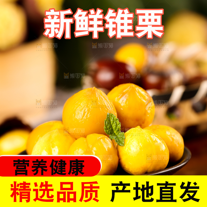 深底上的油锥栗