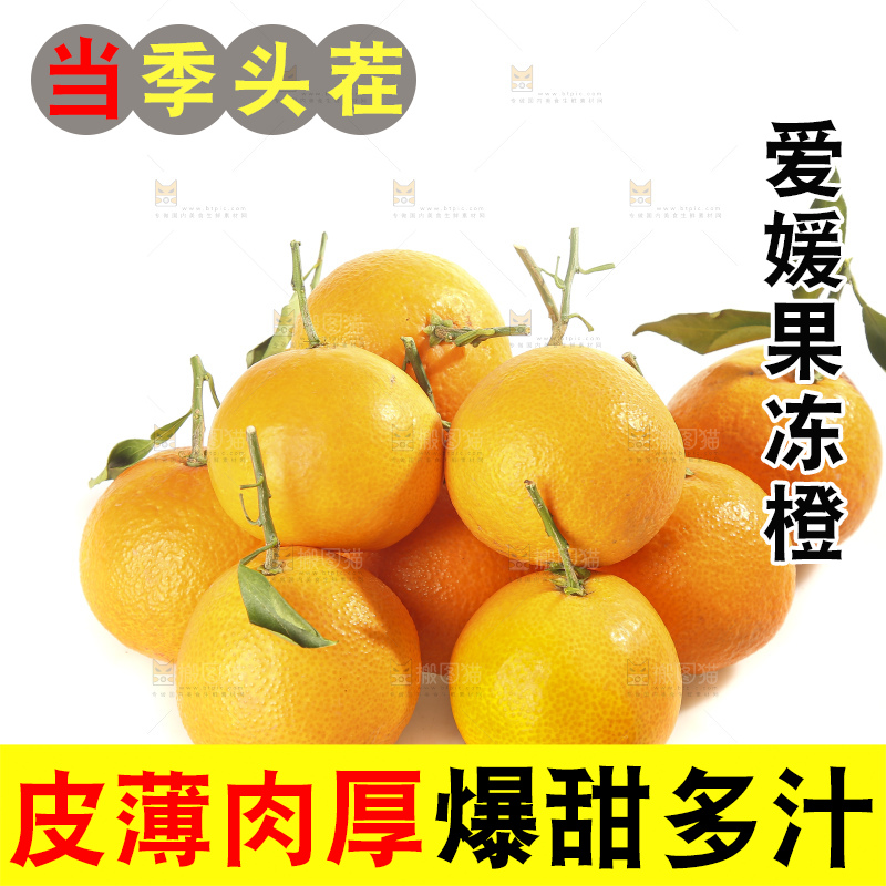 白底上的爱媛果冻橙
