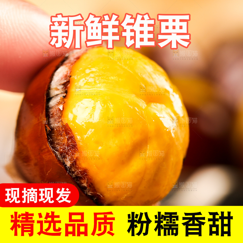 深底上的油锥栗