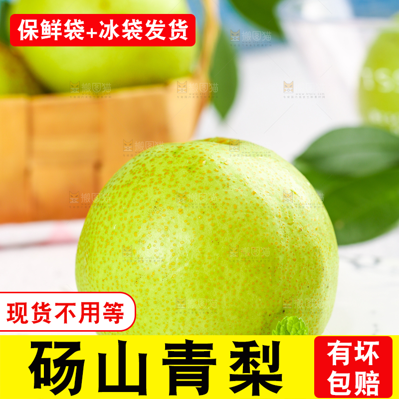浅底上的砀山酥梨