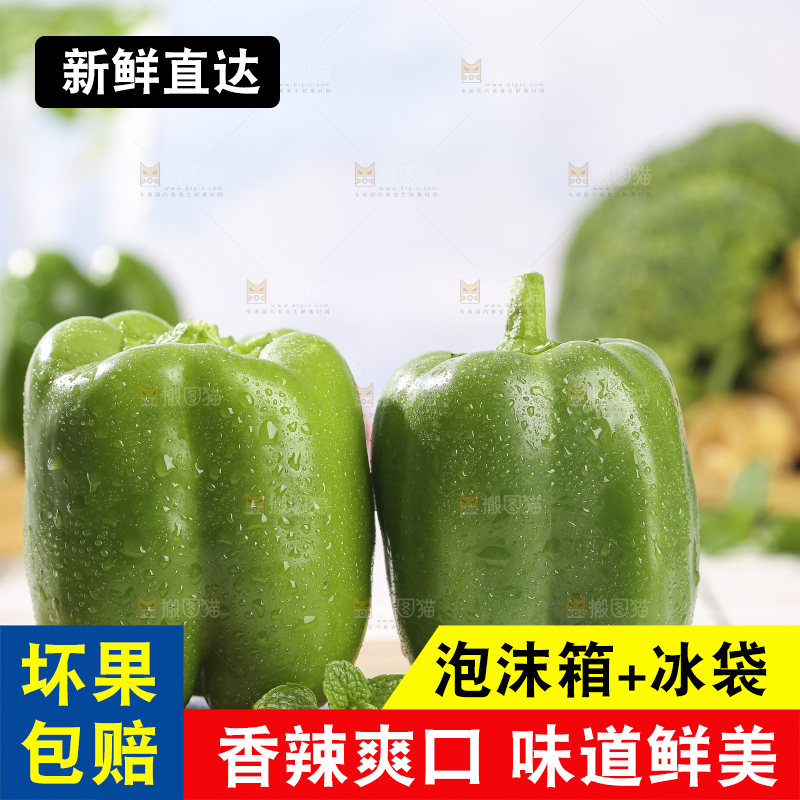 浅底上的青圆椒
