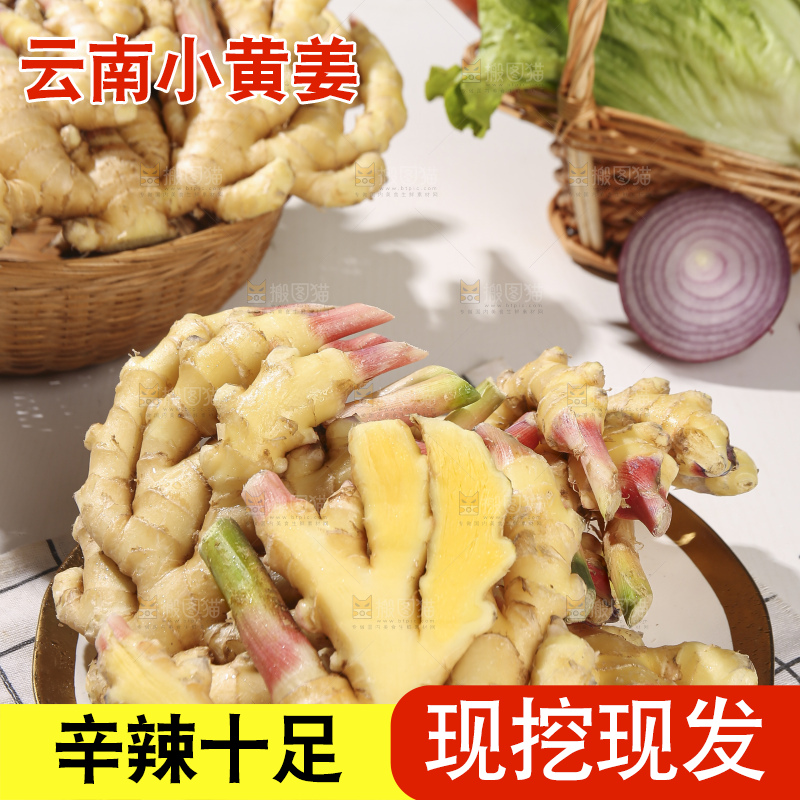浅底上的小黄姜