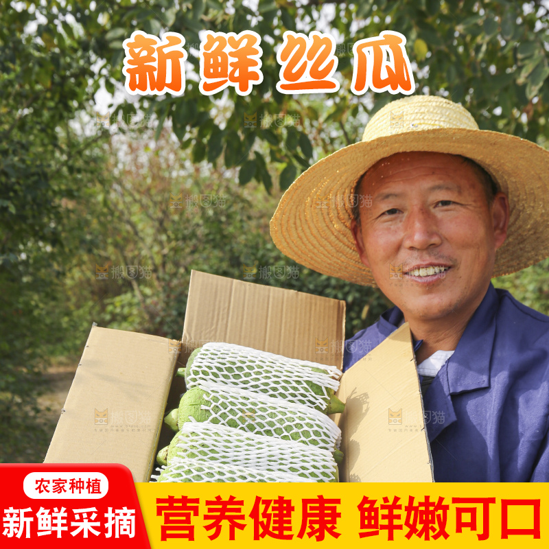 手里拿着新鲜丝瓜