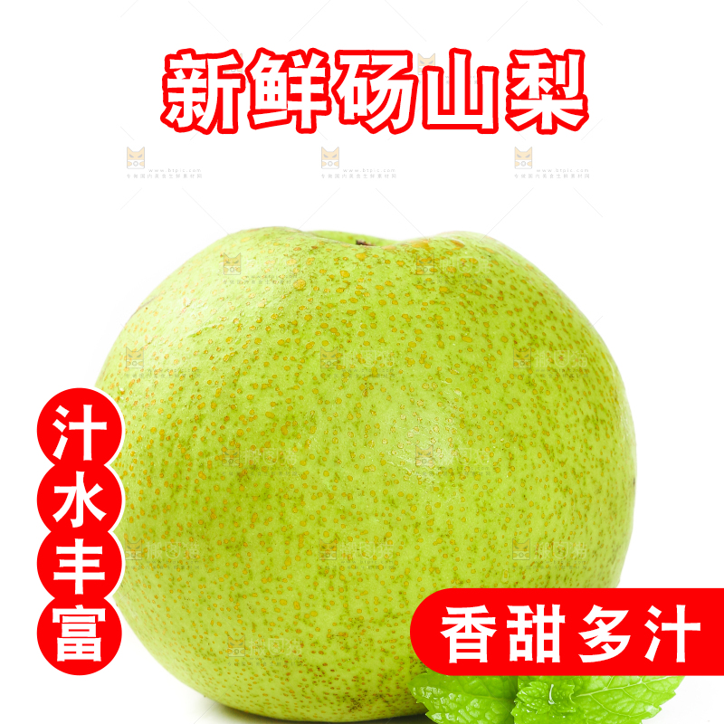 白底上的砀山梨