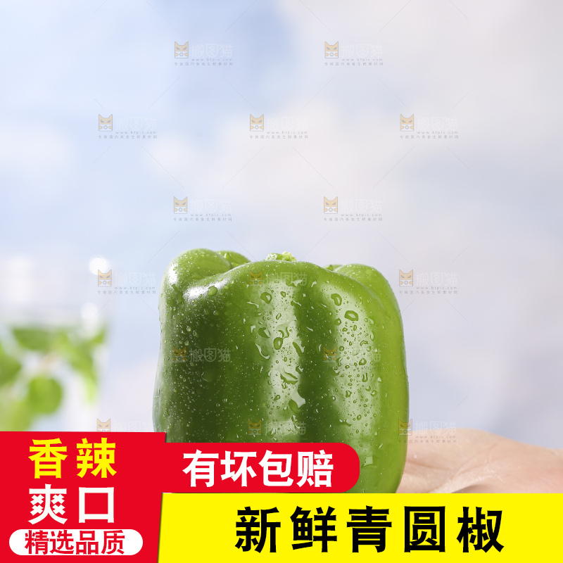浅底上的青圆椒