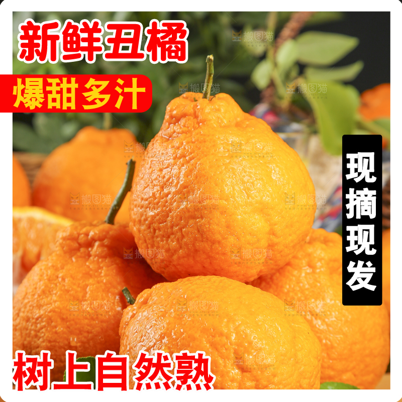 丑橘主图