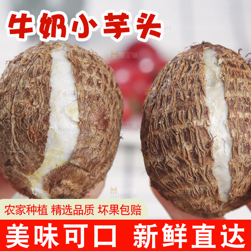 浅底上的新鲜小芋头