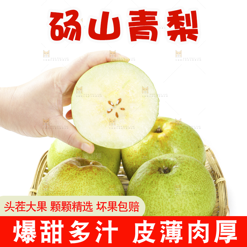 白底上的砀山梨