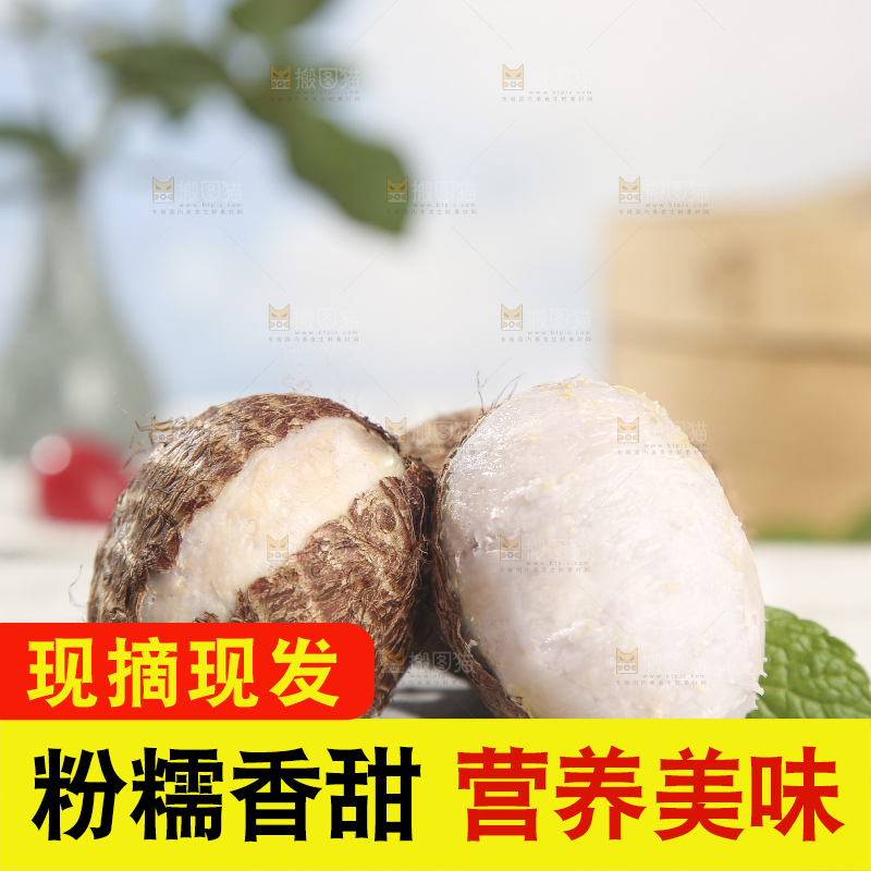 浅底上的新鲜小芋头