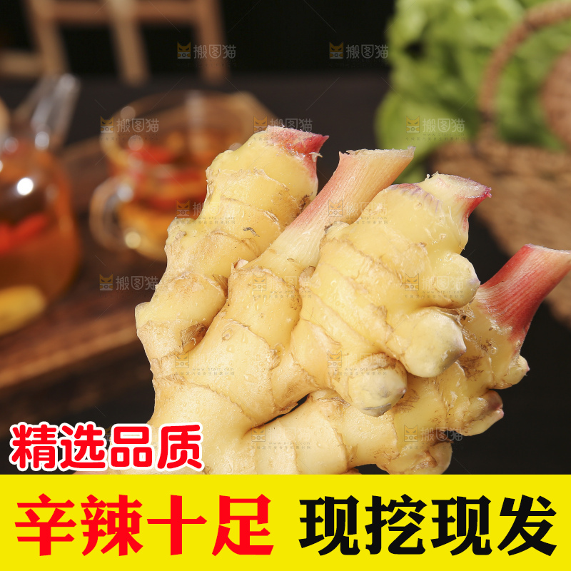 深底上的小黄姜
