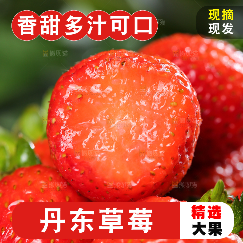 深底上的丹东草莓