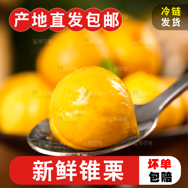 深底上的油锥栗