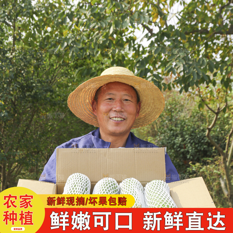 手里拿着新鲜丝瓜
