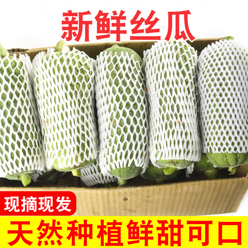 白底上的大丝瓜