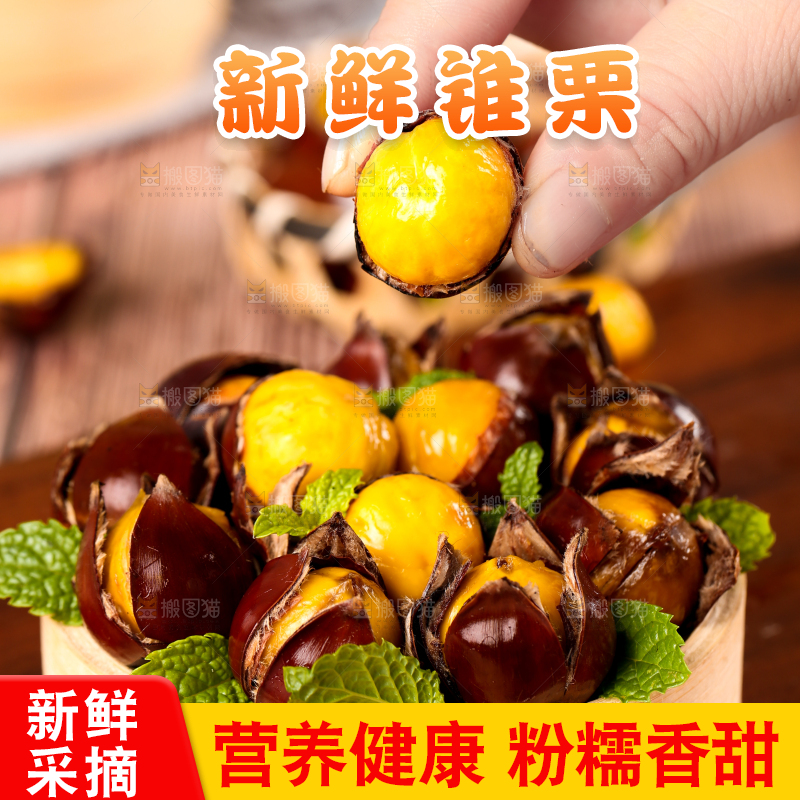 深底上的油锥栗
