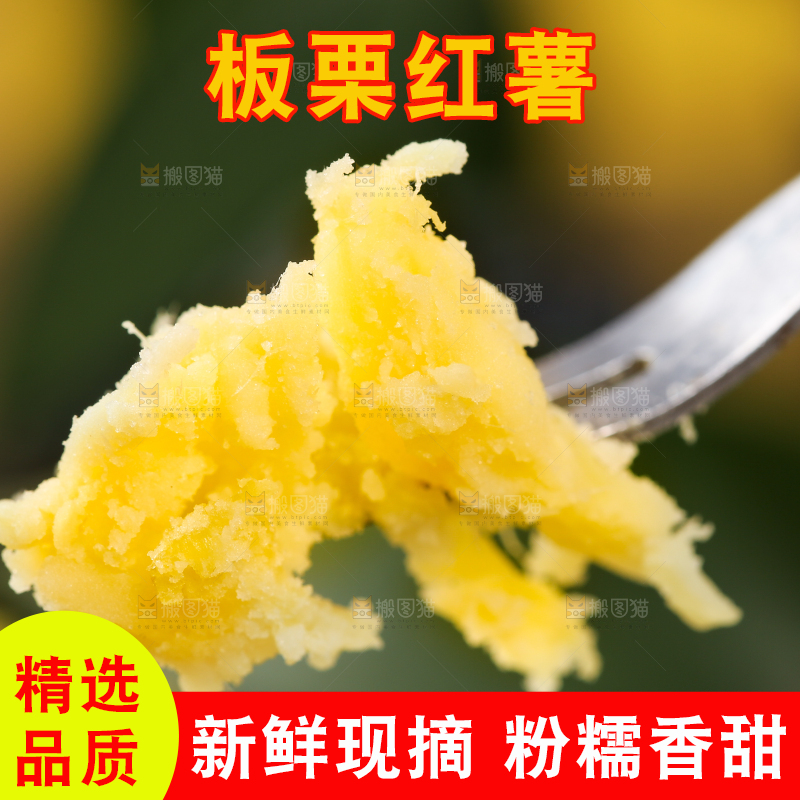 深底上的板栗红薯