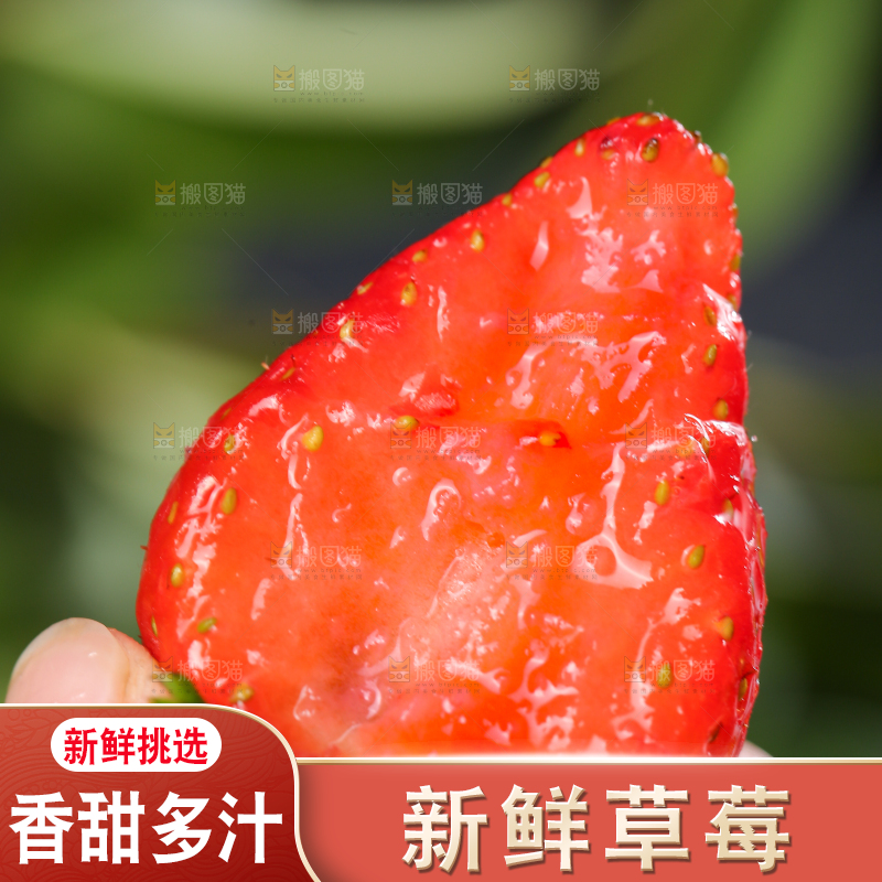 深底上的丹东草莓